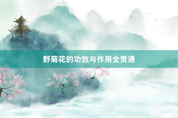 野菊花的功效与作用全贯通